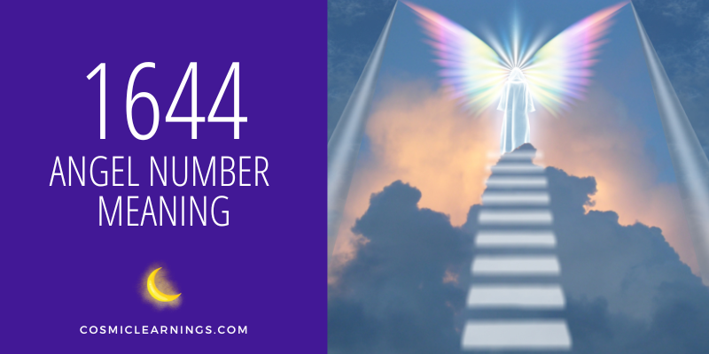 1644 ANGEL NUMBER MEANING