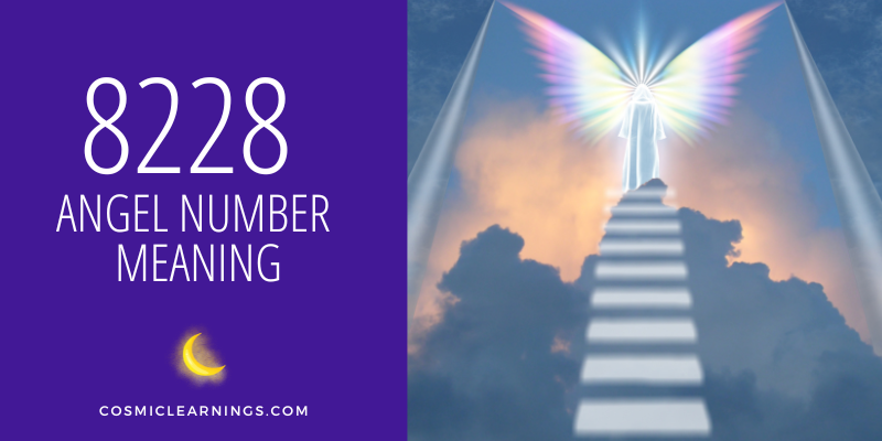 8228 ANGEL NUMBER MEANING
