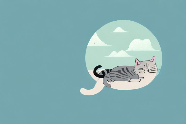 A sleeping cat surrounded by a dreamlike landscape