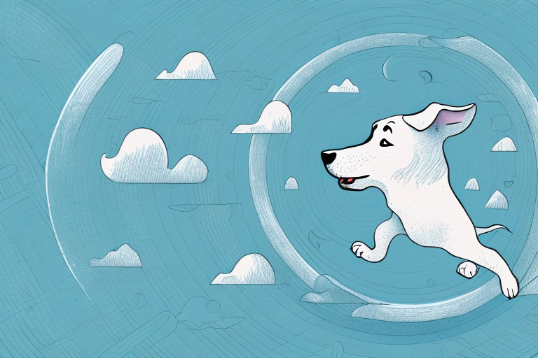 A dog running away in the middle of a dream-like landscape